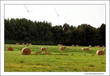 IMG_20260727_124625