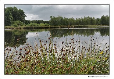 IMG_20260727_131152