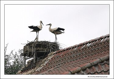 IMG_20260727_155859
