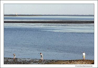 IMG_20260729_194125
